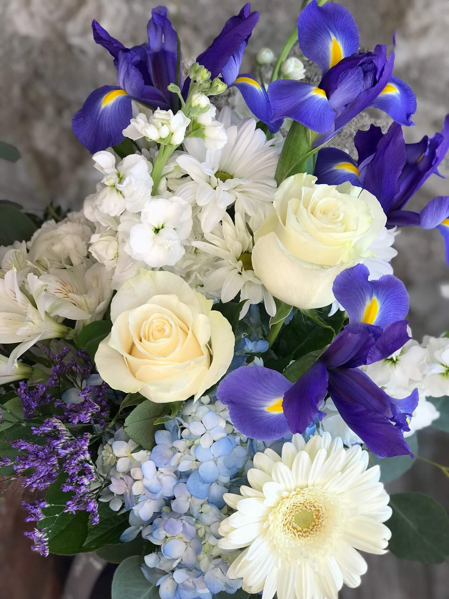 Beautiful In Blue Flower Collection